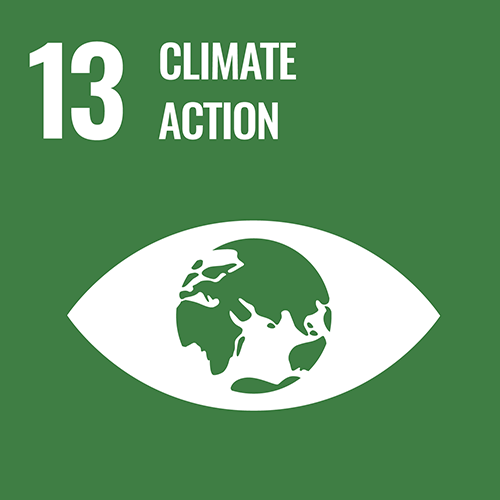 13Climate action